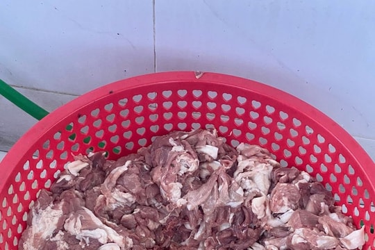 Xôn xao bếp ăn học sinh tiểu học ở Hà Nội nhập cá ươn, thịt bốc mùi