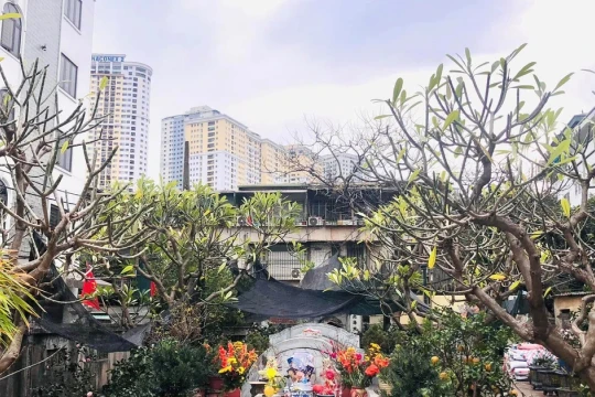 'Sợi dây vàng' Kim Lũ: Sản sinh 5 vị tiến sĩ nức tiếng Thăng Long