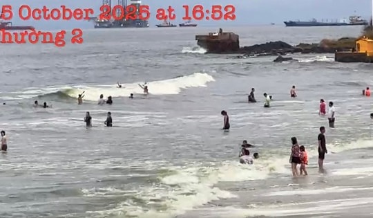 Thông tin lan truyền nước biển Vũng Tàu có màu xanh lá cây: Cơ quan chức năng lên tiếng