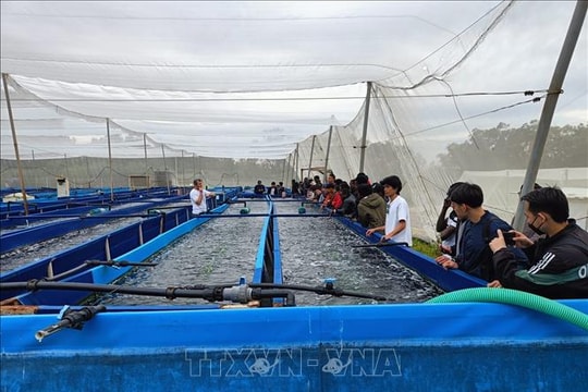 Sinh viên Việt Nam trải nghiệm nông nghiệp công nghệ cao tại Israel