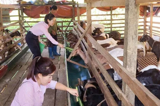 Cao Bằng tập trung chỉ đạo thực hiện hiệu quả Chương trình giảm nghèo