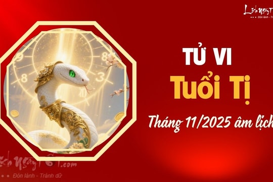 Tử vi tháng 11/2025 tuổi Tị âm lịch: Giai đoạn nhẹ nhàng, thuận buồm xuôi gió Tử vi tháng 11/2025 tuổi Tị âm lịch: Giai đoạn nhẹ nhàng, thuận buồm xuôi gió