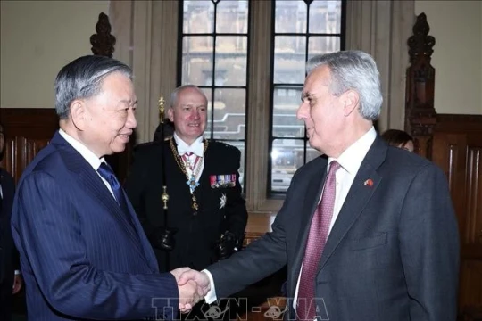 Tổng Bí thư Tô Lâm gặp Nhóm nghị sỹ liên đảng ủng hộ Việt Nam tại Quốc hội Anh