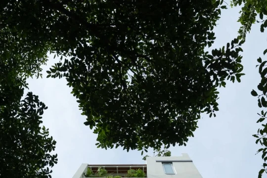 Ngôi nhà sum vầy ba thế hệ giữa ánh sáng và không gian mở