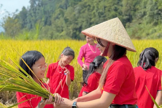 Cô giáo 9x mang hạt giống công nghệ về xã vùng cao