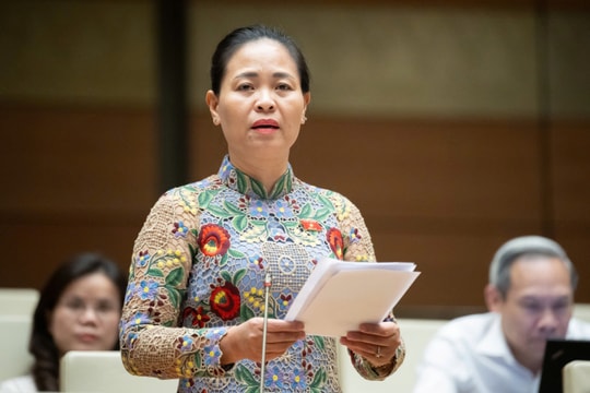 'Nhiều sinh viên y khoa đi thực tập nhưng không được thực hành'