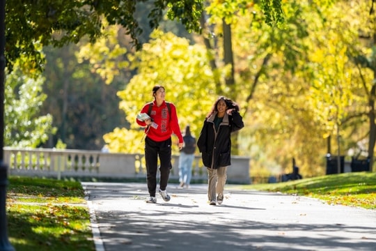 Đóng băng tuyển nghiên cứu sinh tiến sĩ ở Mỹ