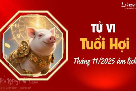Tử vi tháng 11/2025 tuổi Hợi âm lịch: Mọi sự hanh thông, gặp hung hóa cát