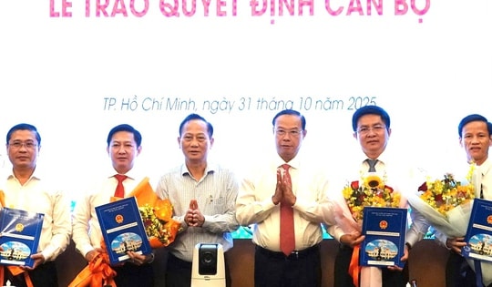 UBND TP HCM điều động, bổ nhiệm nhiều cán bộ lãnh đạo UBND TP HCM điều động, bổ nhiệm nhiều cán bộ lãnh đạo