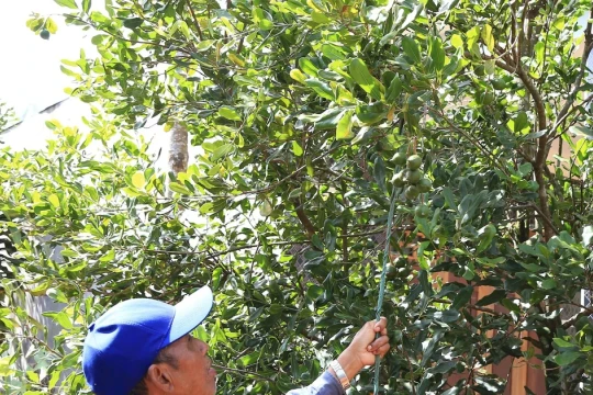 Đồng bào M’nông đổi thay từng ngày nơi vùng biên giới Lâm Đồng