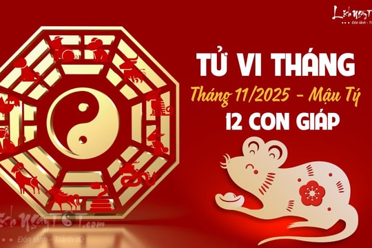 Tử vi tháng 11/2025 của 12 con giáp âm lịch: Sửu có tin vui, Dậu gặp biến động
