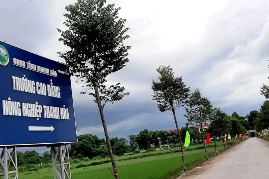 Học sinh lớp 10 sức khỏe nguy kịch vì bị nhóm bạn hành hung tại lớp học