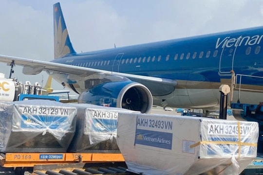 Vietnam Airlines ủng hộ 5,5 tỷ đồng hỗ trợ đồng bào vùng bão lũ