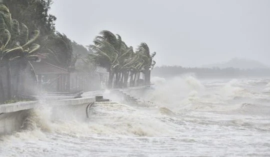 Bão Kalmaegi di chuyển nhanh, cách Quy Nhơn khoảng 150km