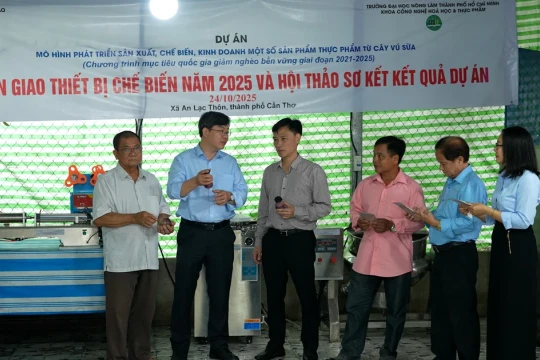 Cần Thơ đa dạng hóa sản phẩm chế biến từ vú sữa, tạo sinh kế mới cho người dân