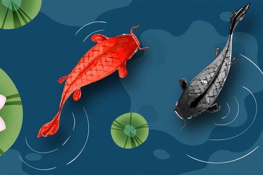 Xem lịch 6 ngày ĐẸP nhất 2 tháng cuối năm 2025 thu hút vận may - Ngày VƯỢNG khí tụ phúc, hóa hung thành cát