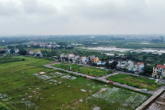 Kéo dài miễn thuế sử dụng đất nông nghiệp thêm 5 năm