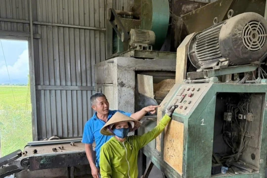 Dùng vỏ trấu chế biến ra củi, nông dân thu hàng trăm triệu đồng mỗi năm