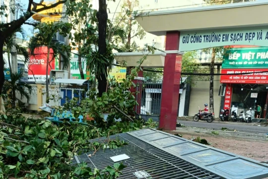 Bão Kalmaegi gây thiệt hại hơn 141 tỷ đồng cho trường học ở Gia Lai