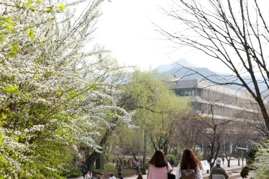 Hàn Quốc không tuyển sinh viên có 'vết đen' bắt nạt