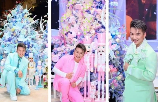 Đàm Vĩnh Hưng khoe nhà triệu đô lung linh không khí Noel như trời Âu