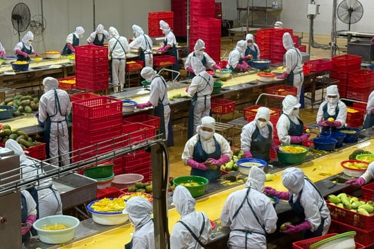 Khoa học nông nghiệp: Từ phòng thí nghiệm đến cánh đồng