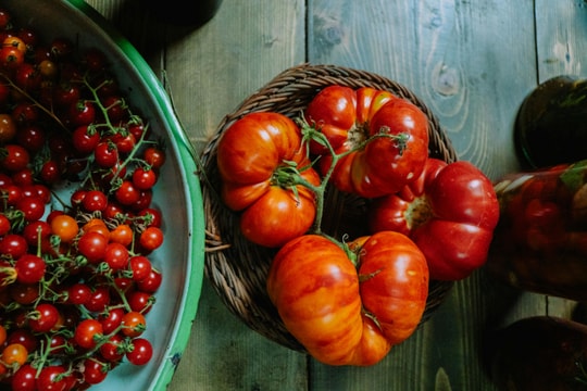 Tử vi thứ 4 ngày 19/11/2025 của 12 con giáp: Tý lộc lá, Ngọ thẳng tính