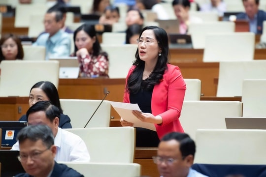 Đại biểu Quốc hội lên tiếng việc nhiều trường bất ngờ bỏ xét tuyển khối C00