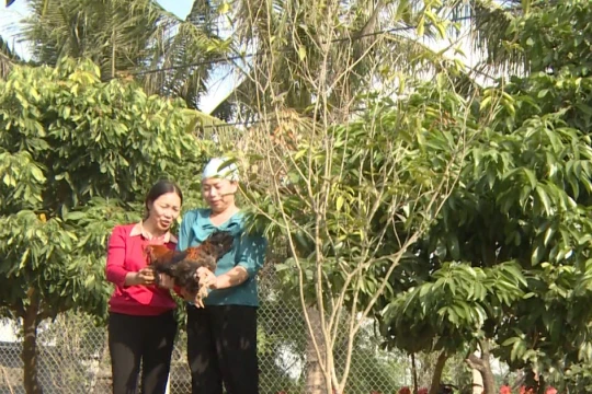 Phụ nữ Hưng Yên phát huy nội lực, làm giàu chính đáng