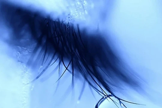 Cảm thụ văn học: Những sự thể lạ phát sáng