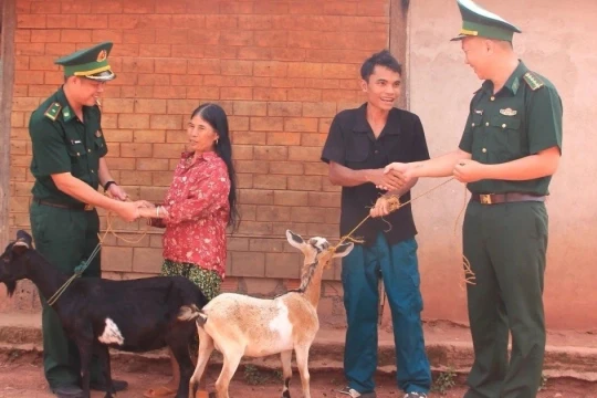 'Nuôi đúng con', đồng bào Pa Kô vượt khó thoát nghèo