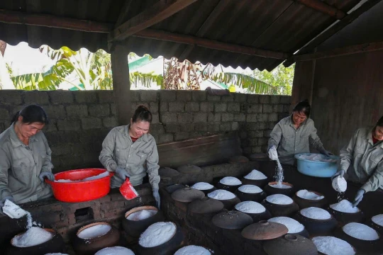 Diêm dân Nghệ An với cú lội ngược dòng trên cánh đồng mặn