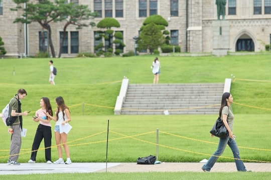 'Trốn' ra trường vì sợ thất nghiệp