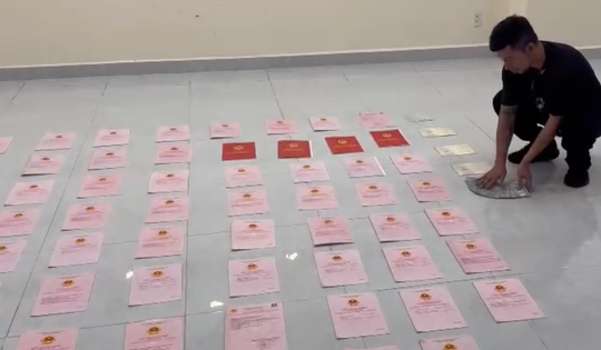 3 vụ án Mailisa, Ngân 98 và Shark Bình thu giữ 198 sổ đỏ và nhiều tài sản khủng khác