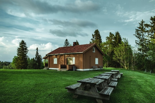 Tử vi thứ 7 ngày 29/11/2025 của 12 con giáp: Thìn có biến động, Mùi bị ghen tị