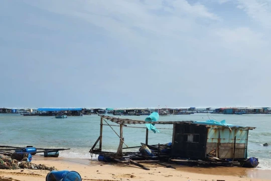 Phú Quý: Người nuôi thủy sản thiệt hại hơn 2 tỉ đồng do ảnh hưởng bão Koto