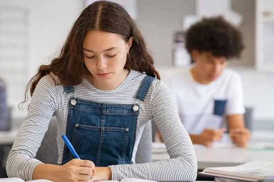 Nhiều học sinh Hà Lan không biết viết văn