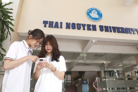 Giữ hay bỏ đại học vùng?