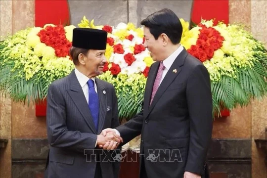 Tăng cường hiệu quả quan hệ Đối tác toàn diện Việt Nam - Brunei