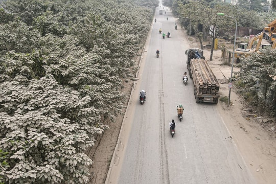 'Bão bụi' bao phủ đường cửa ngõ Hà Nội, cây cối chuyển màu trắng xóa