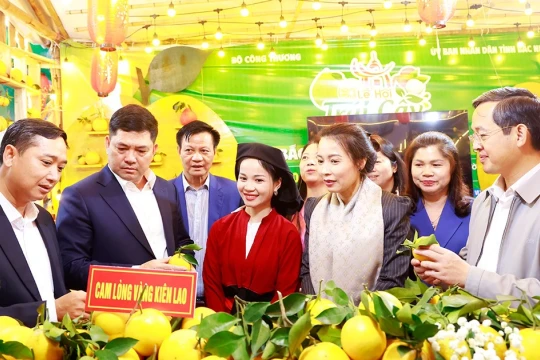 Gần 200 gian hàng tham gia lễ hội trái cây tỉnh Bắc Ninh