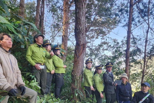 Khu bảo tồn thiên nhiên Mường La làm tốt công tác bảo vệ rừng