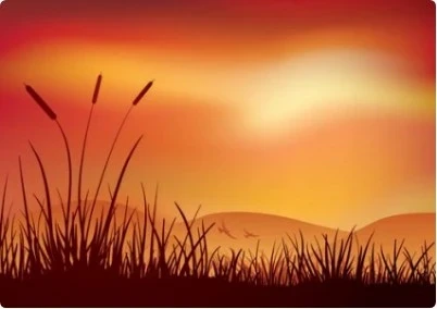 Cảm thụ văn học: 'Phận hoa bên lề' và những giá trị nhân sinh sâu sắc