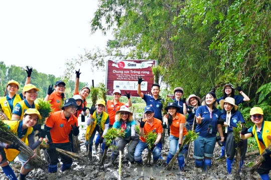 Thêm 62.000 cây xanh được trồng giữa mùa lũ lịch sử