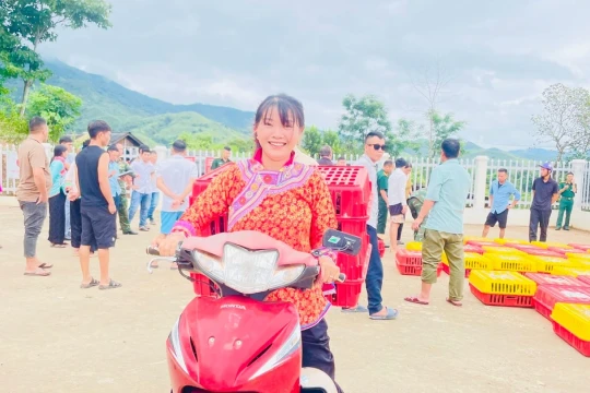 Sinh kế bền vững mở lối thoát nghèo cho người dân Si Pa Phìn