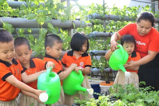 Mầm non - trọng tâm đổi mới giáo dục: Đột phá để phát triển bền vững