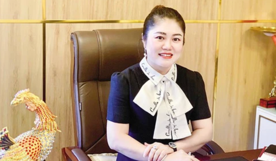 Nữ chủ tịch lừa có dự án trồng sâm Ngọc Linh để huy động gần 1.300 tỉ đồng