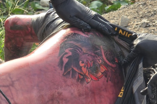 Ai biết thông tin liên quan thi thể nam có hình xăm cá chép bên hoa sen, liên hệ ngay công an số 0937.349.345