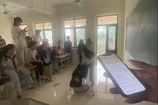 Vụ nữ sinh bị đánh nhập viện: Đình chỉ 2 học sinh