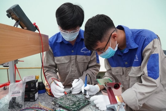 Đại học vùng - Trụ cột đổi mới giáo dục và động lực phát triển vùng miền